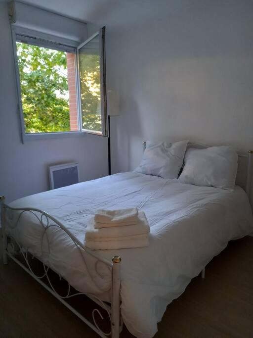 Appartement Cosy Cugnaux Luaran gambar